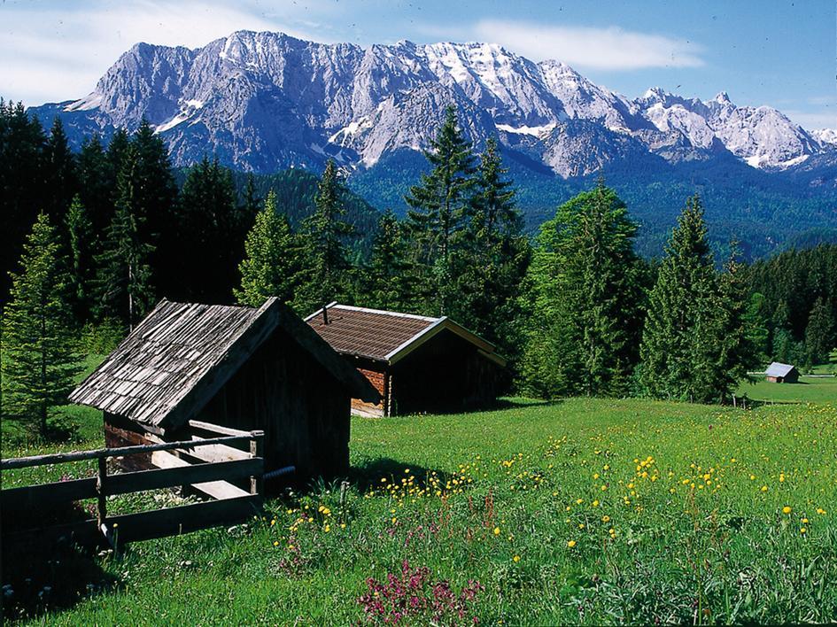 Appartementhaus Alpenrose Вальгау Экстерьер фото